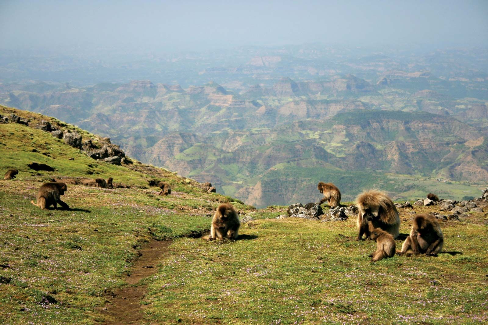 Simien_Mountains_National_Park