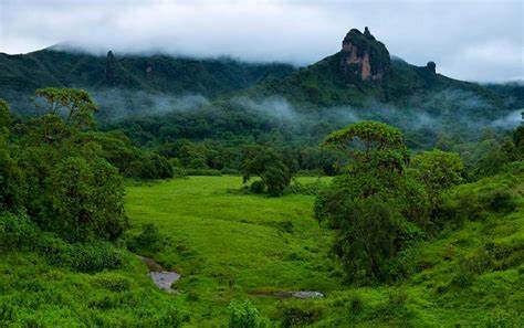 Bale_Mountains_National_Park
