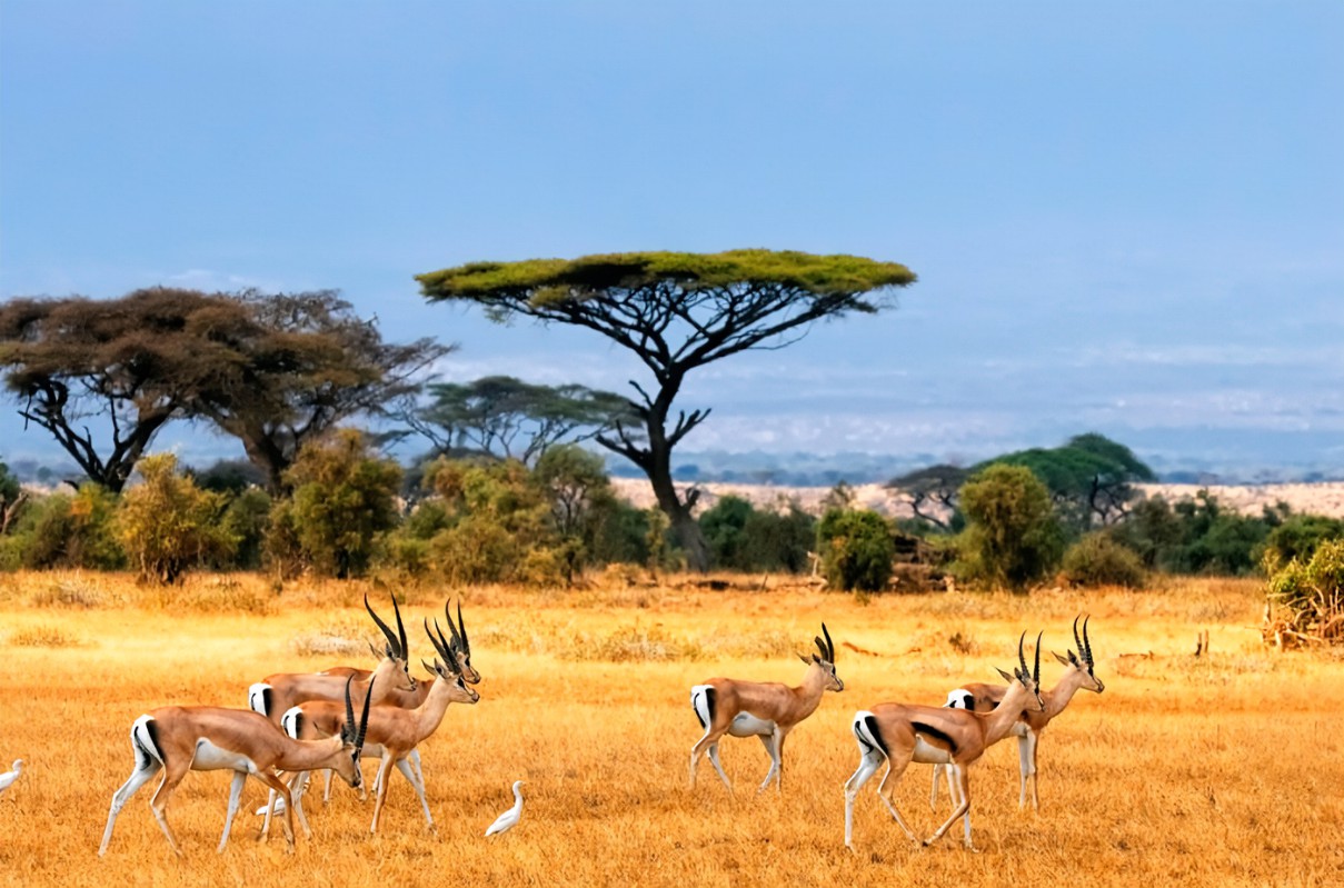 Omo_National_Park
