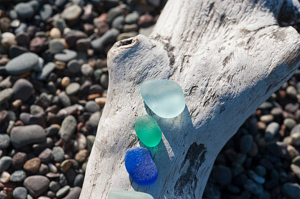Sea Glass Log