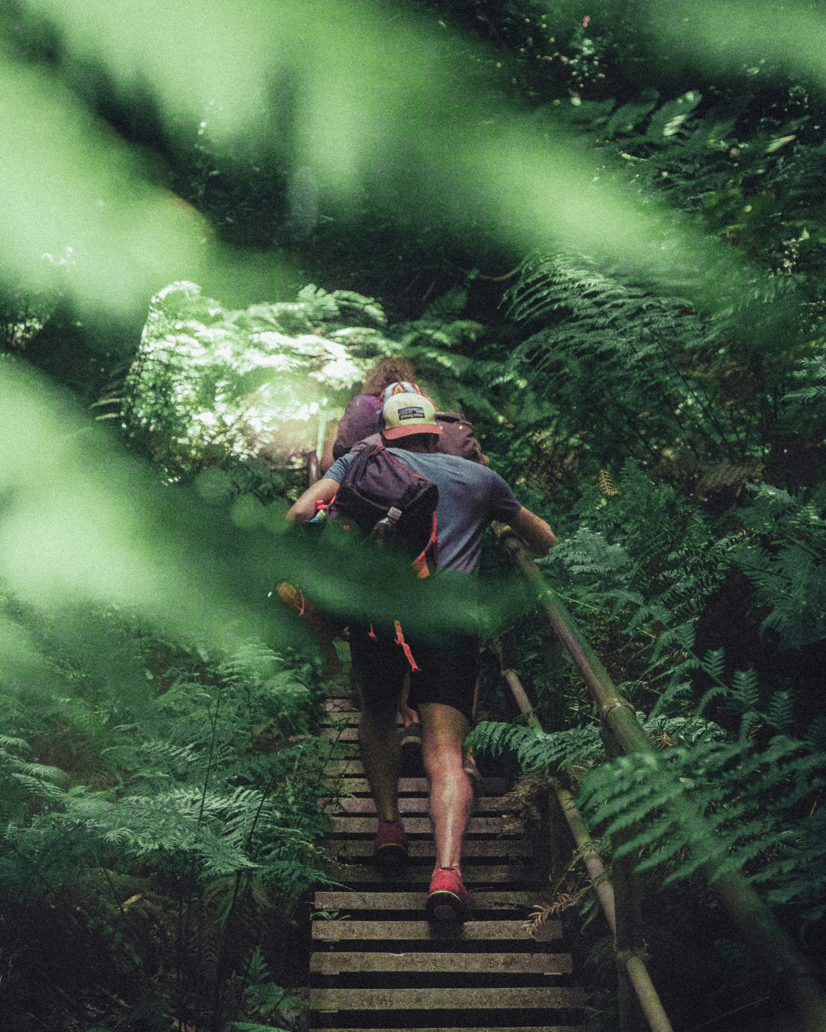 man walking on the bush stairs
