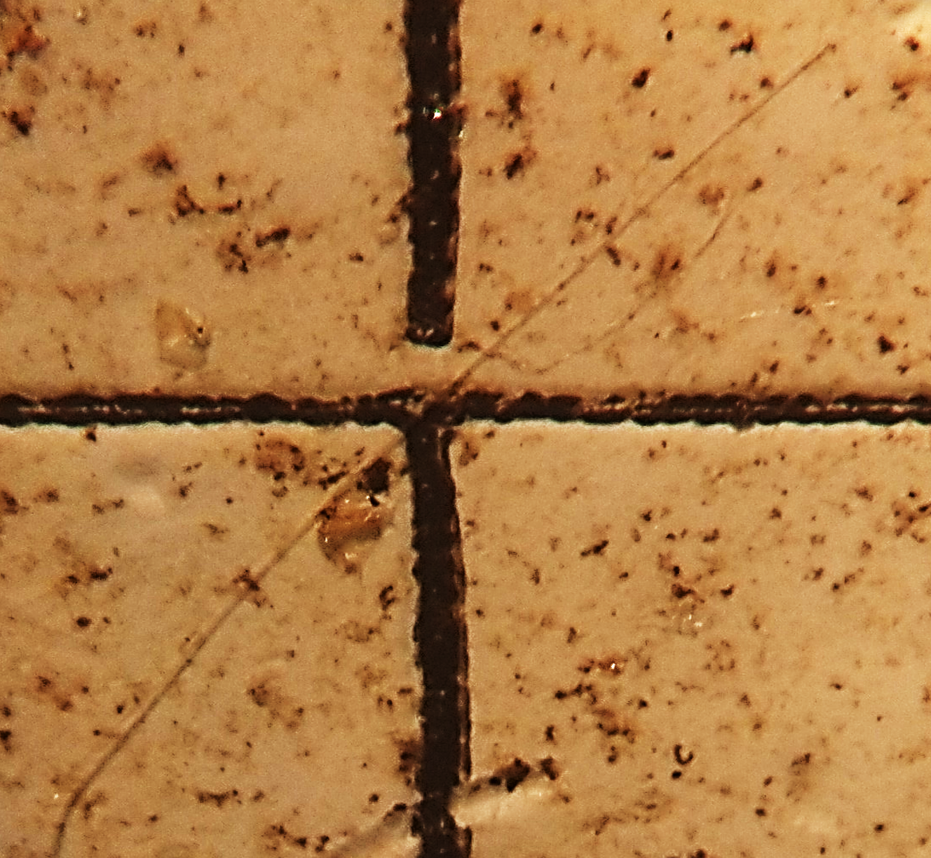 Microplastic through microscope