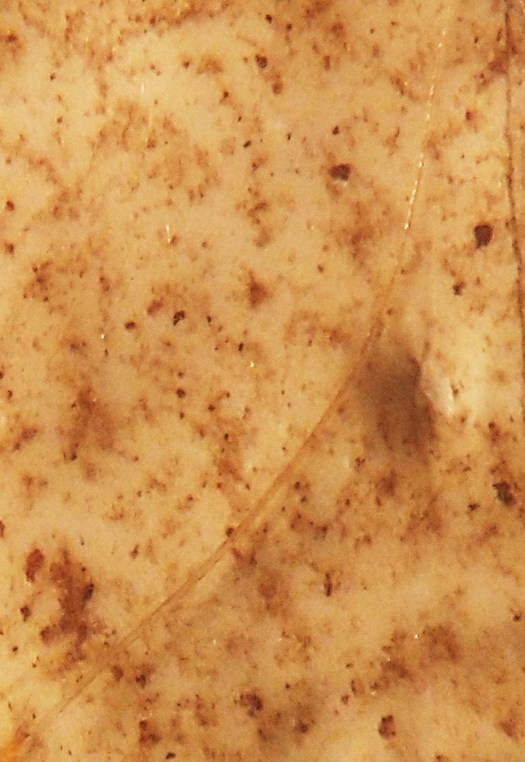 Microplastic through microscope