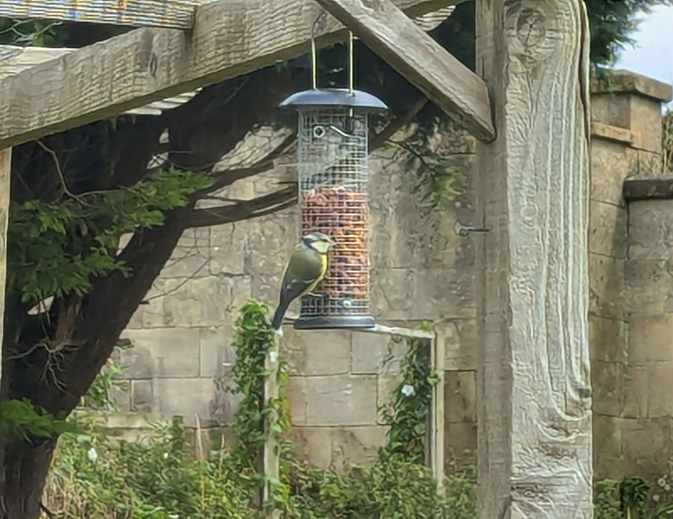 My first customer at the restaurant in August 2024