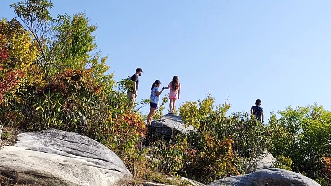 Family of four looking over the edge of a mountain (Virginia, USA)