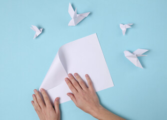 Origami folding