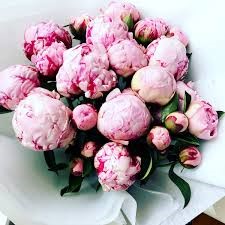 Peony Bouquet