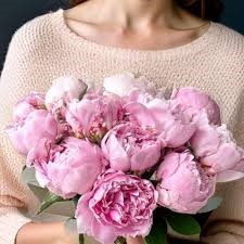 Freshly picked peonies