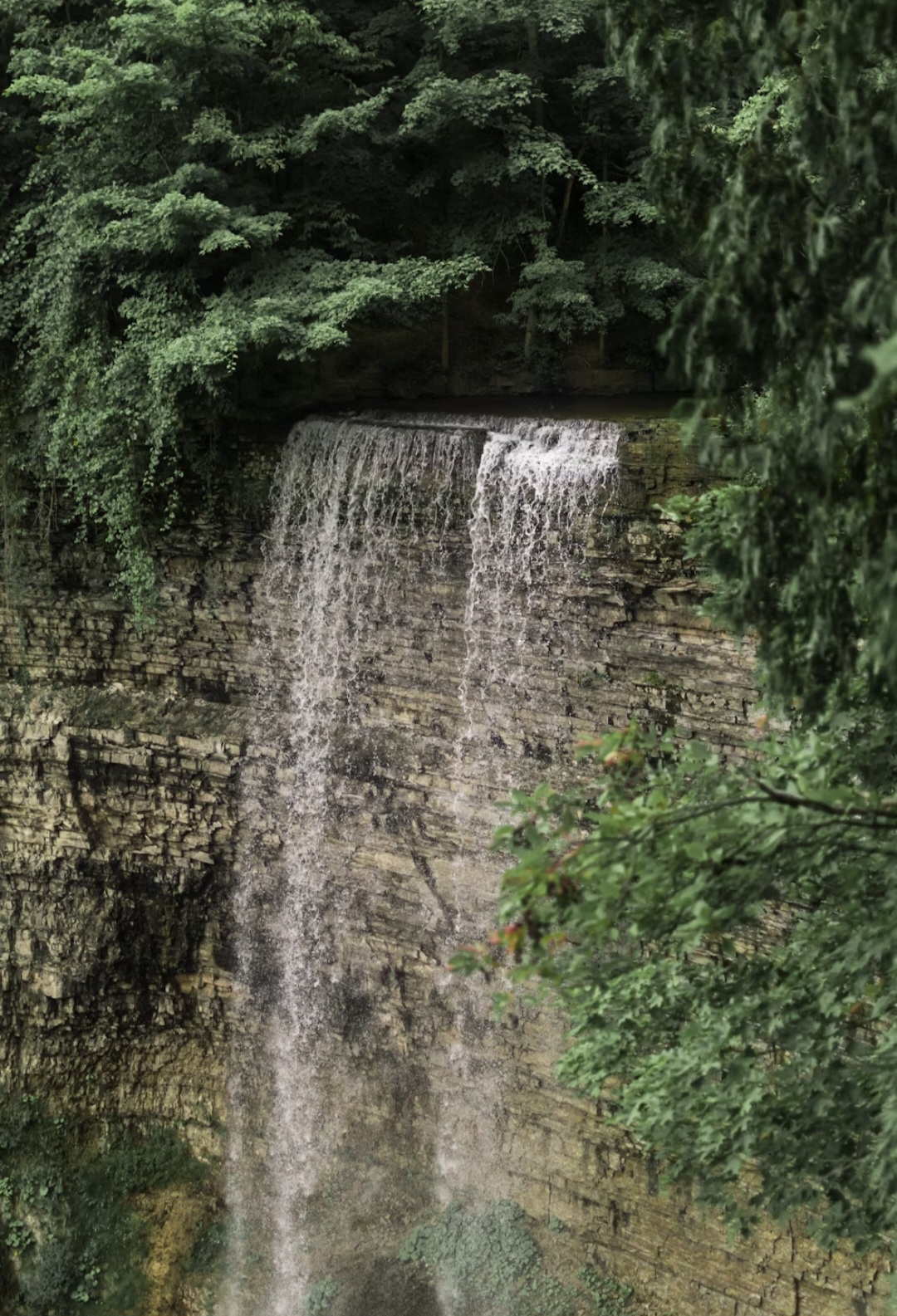 Hamilton Trail Waterfall