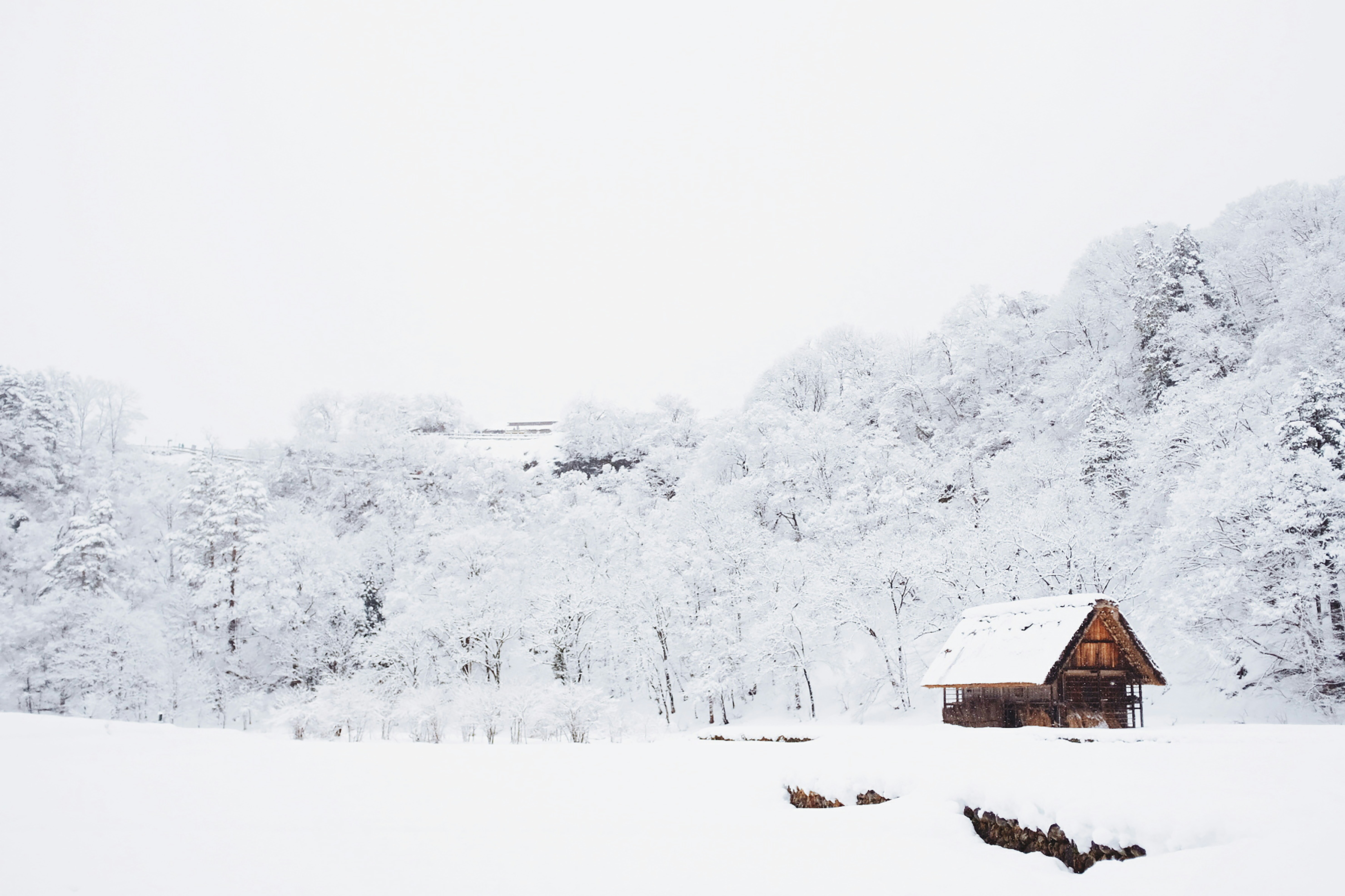 photograph of an old wooden cabin in the snow