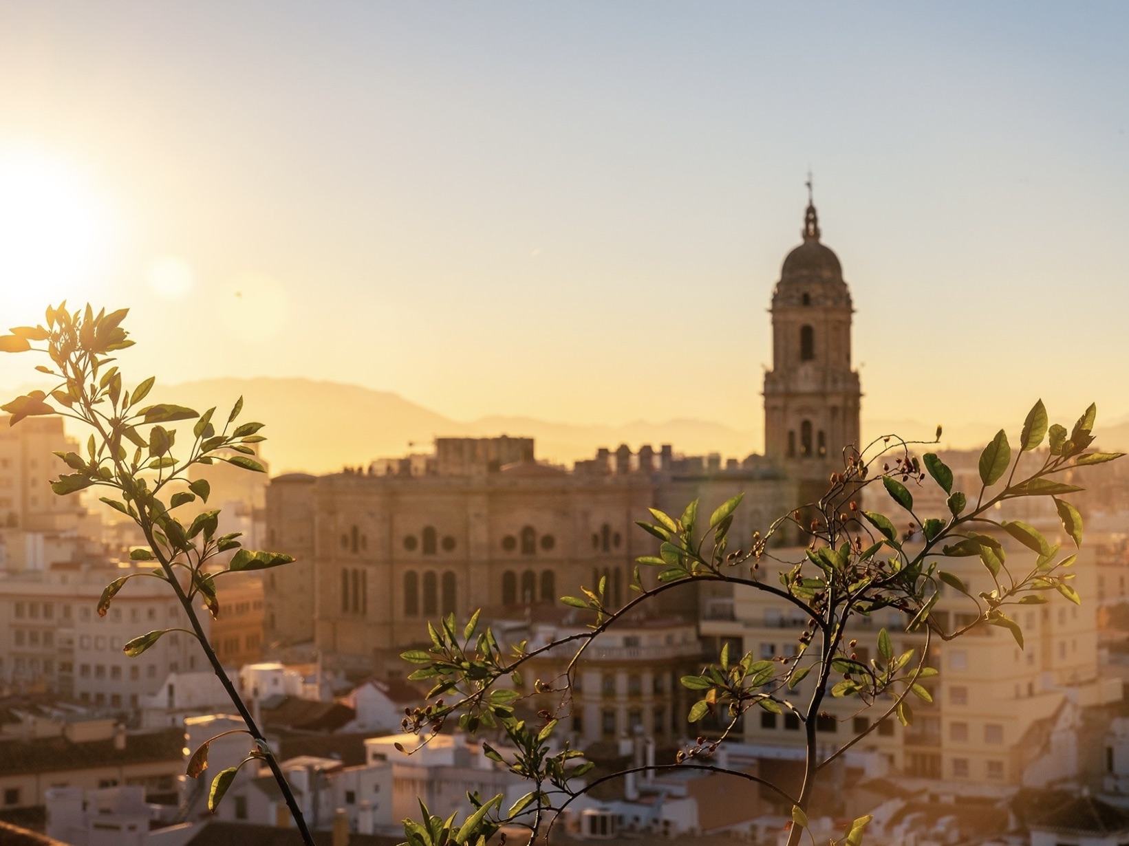 The cathedral of Málaga at sundown