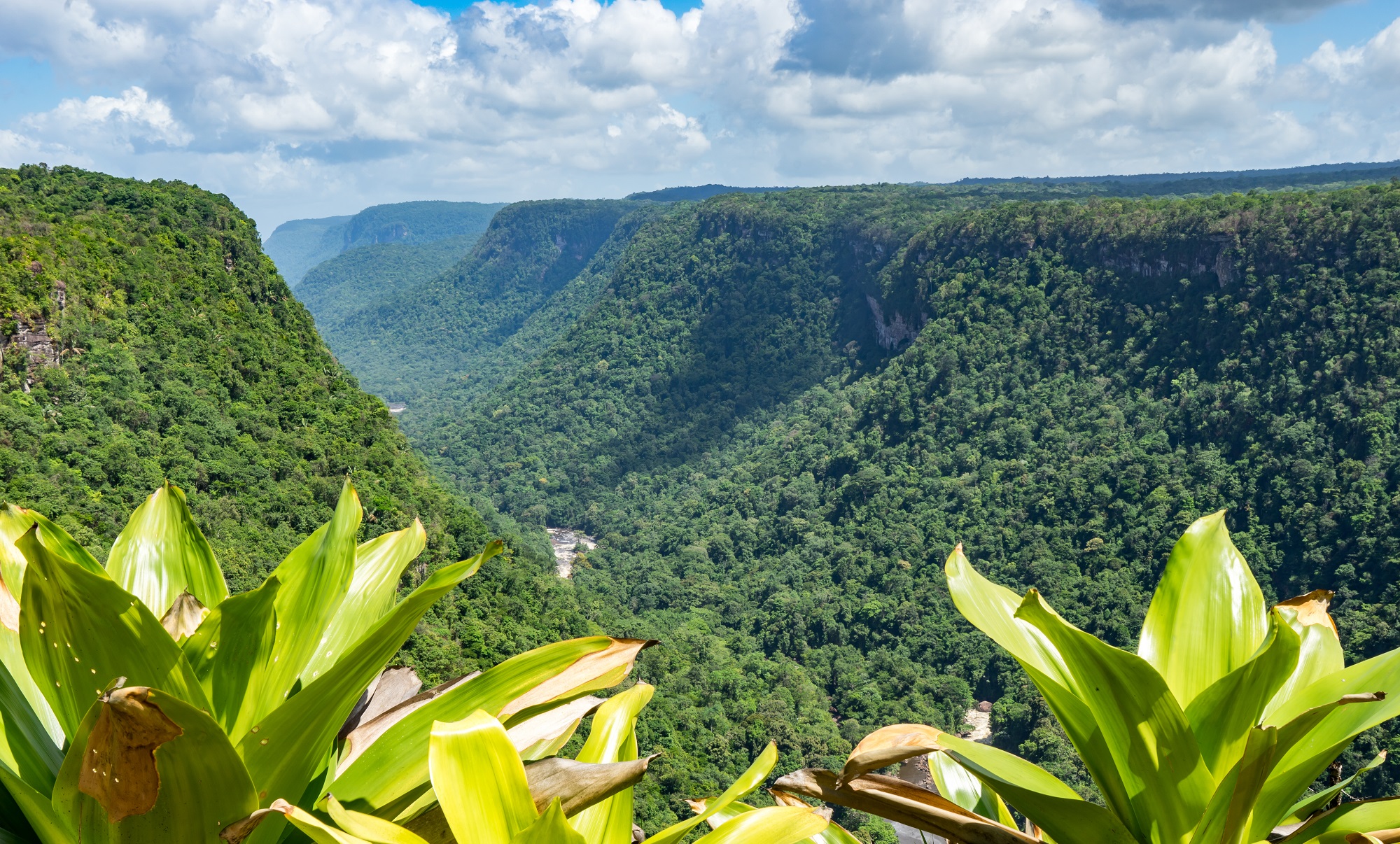 Guiana mountains