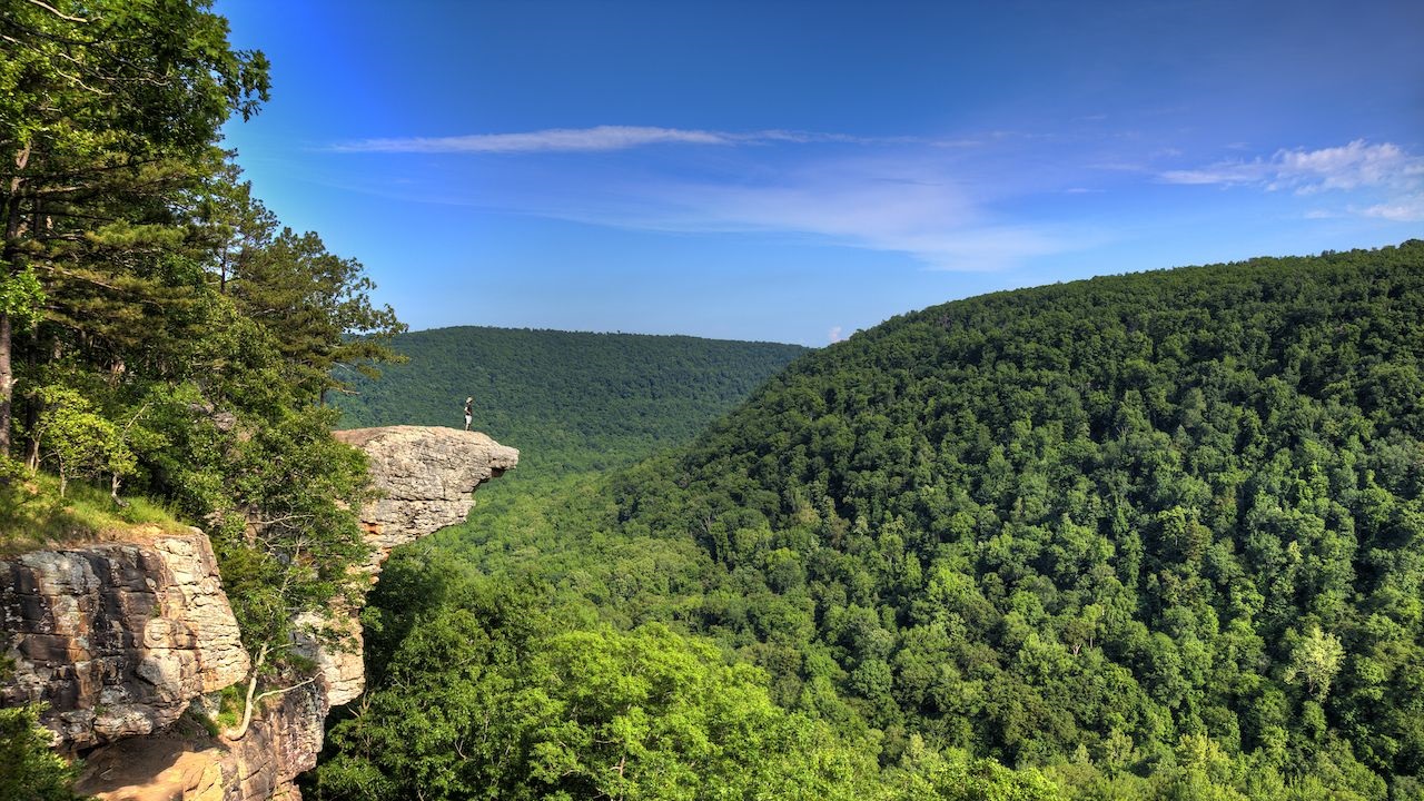 Whitaker Point Trail