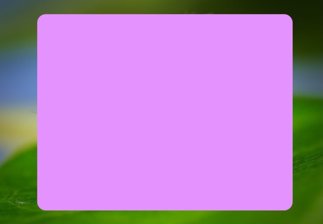 Jumping Spider tilting its head