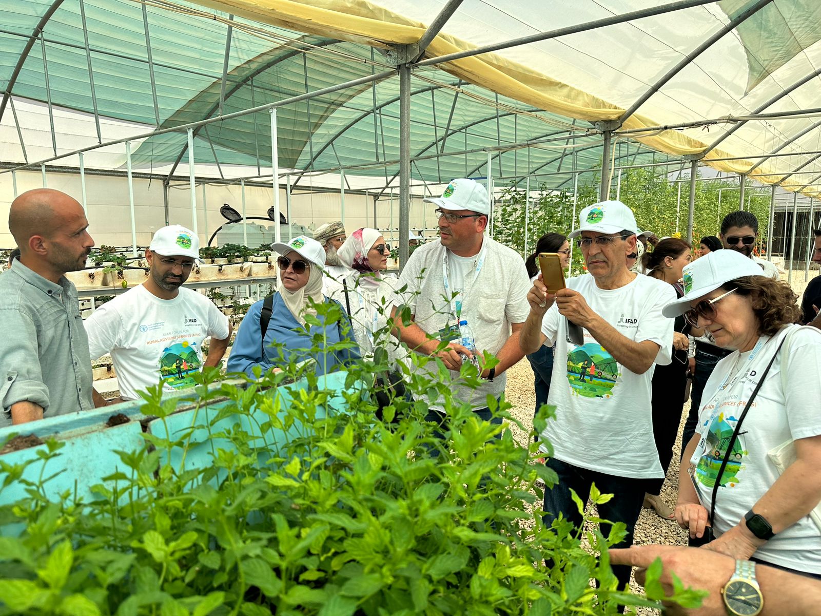 Agricultural Extension