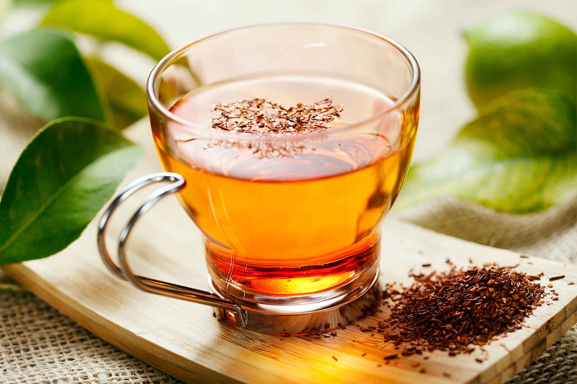 Rooibos-tea