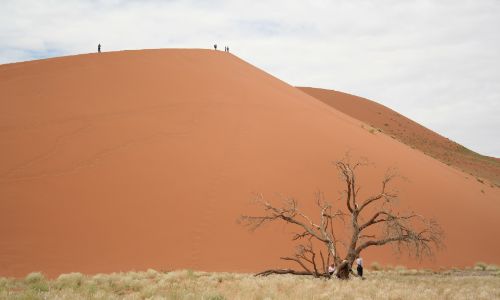 Dunes in Namibia