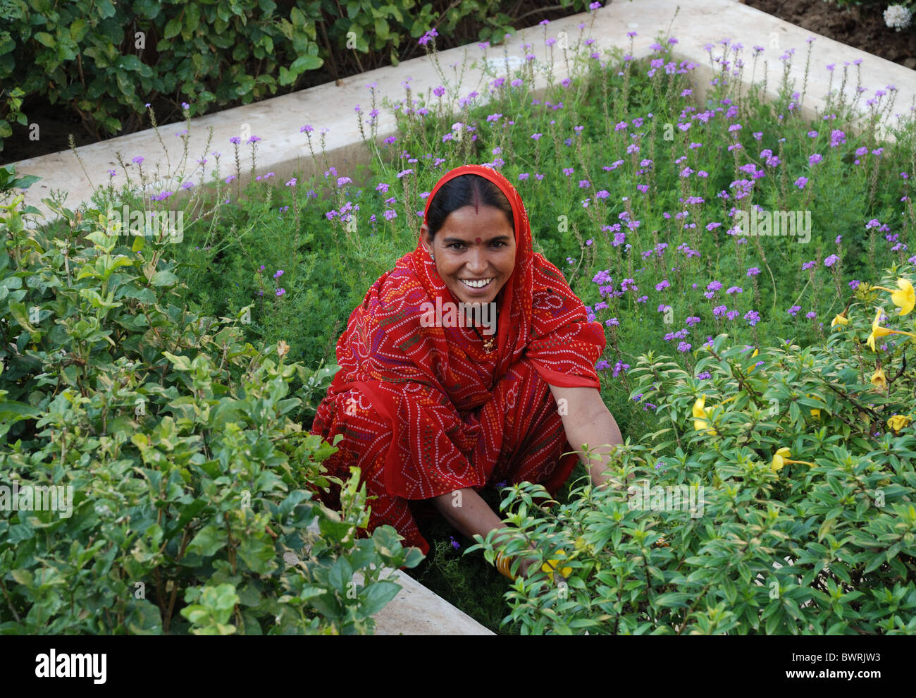 Indian Woman gardening