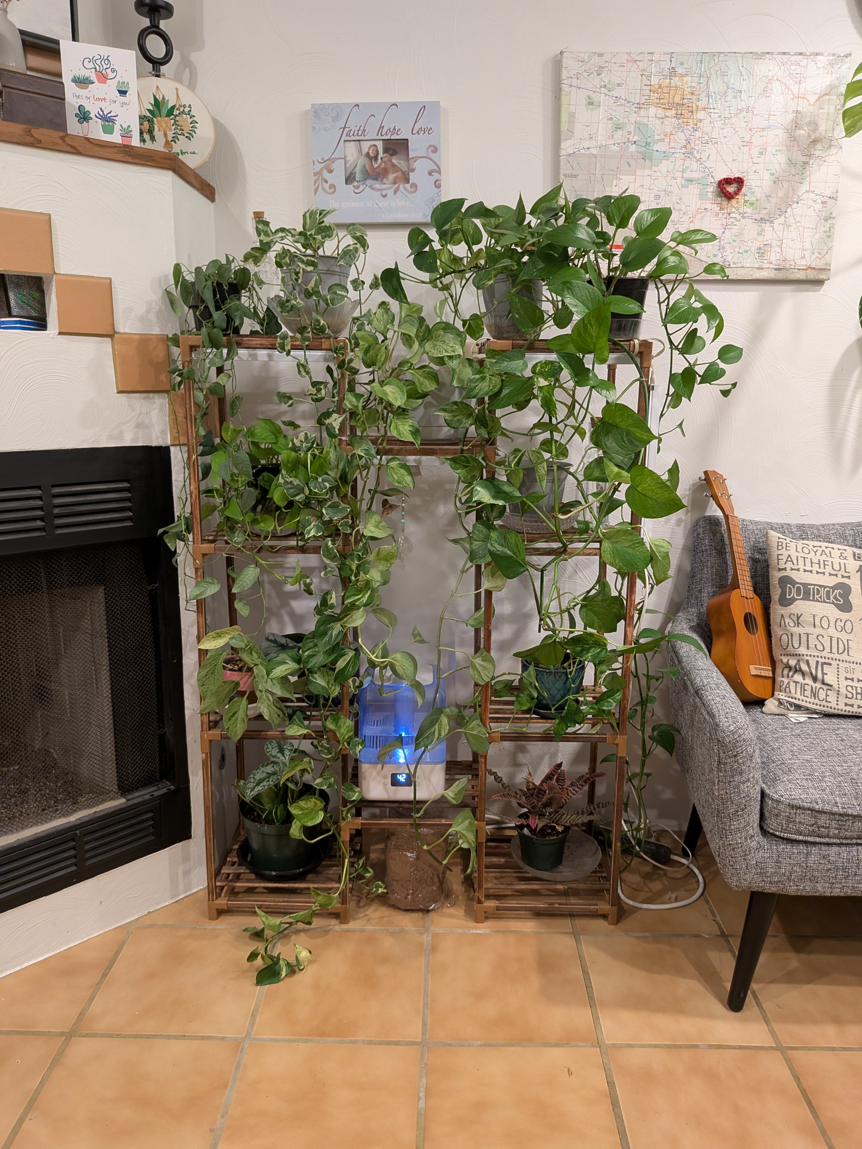 Pothos Varieties