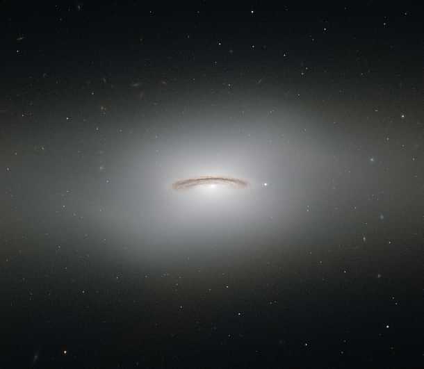 The halo with a black hole