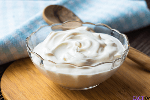 Greek Yogurt