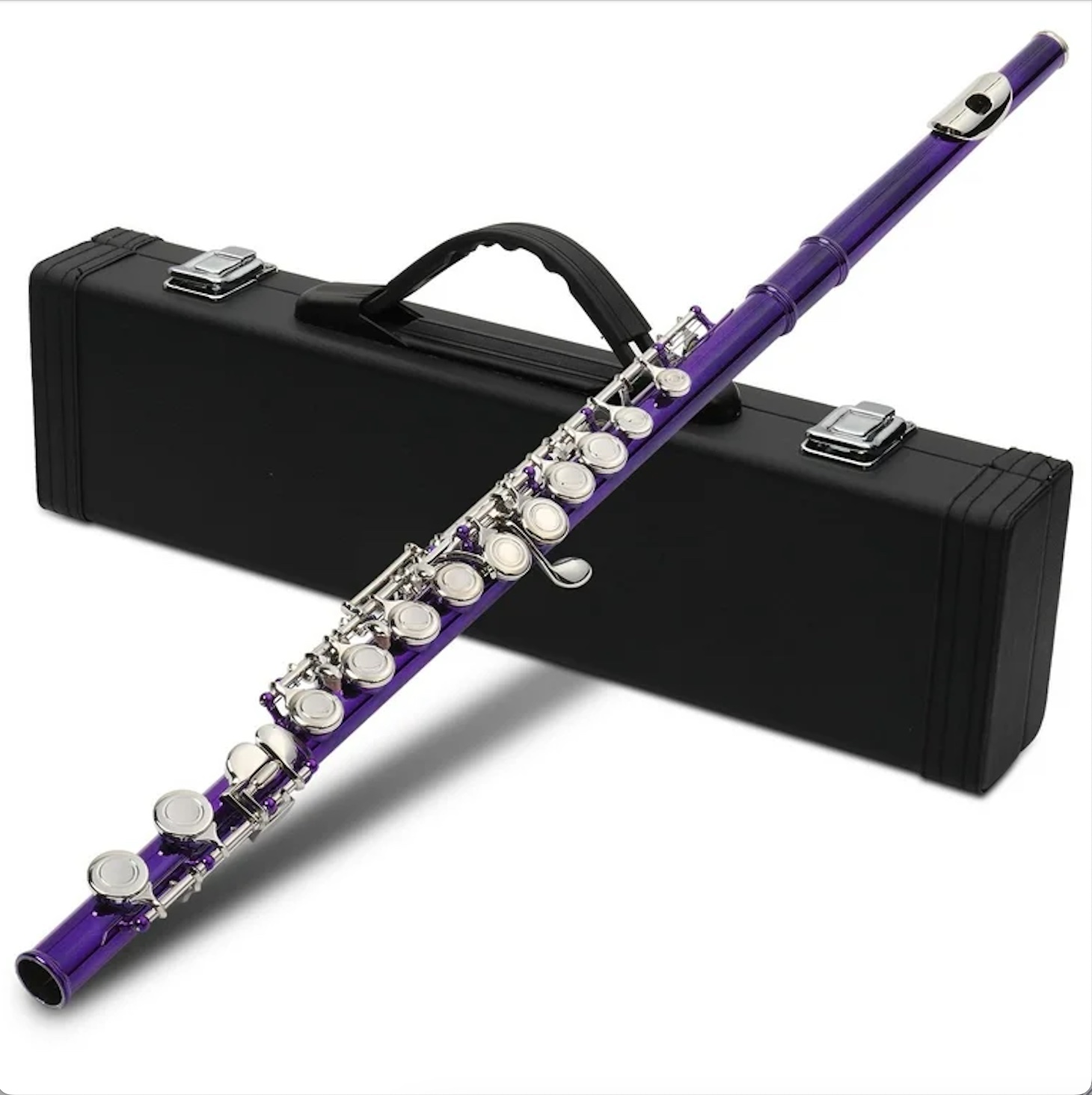 flute and case