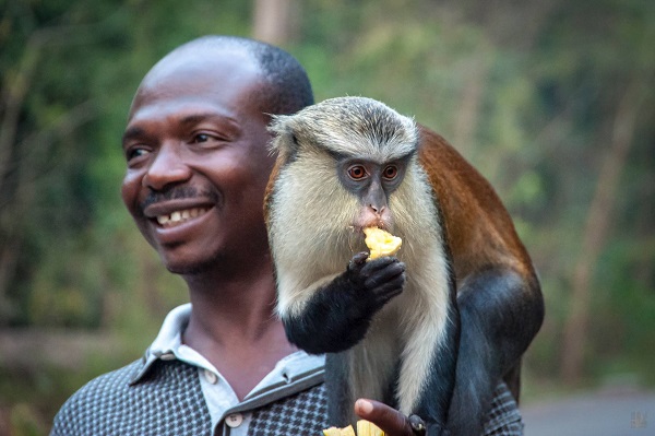 Tafi Monkey Sanctuary