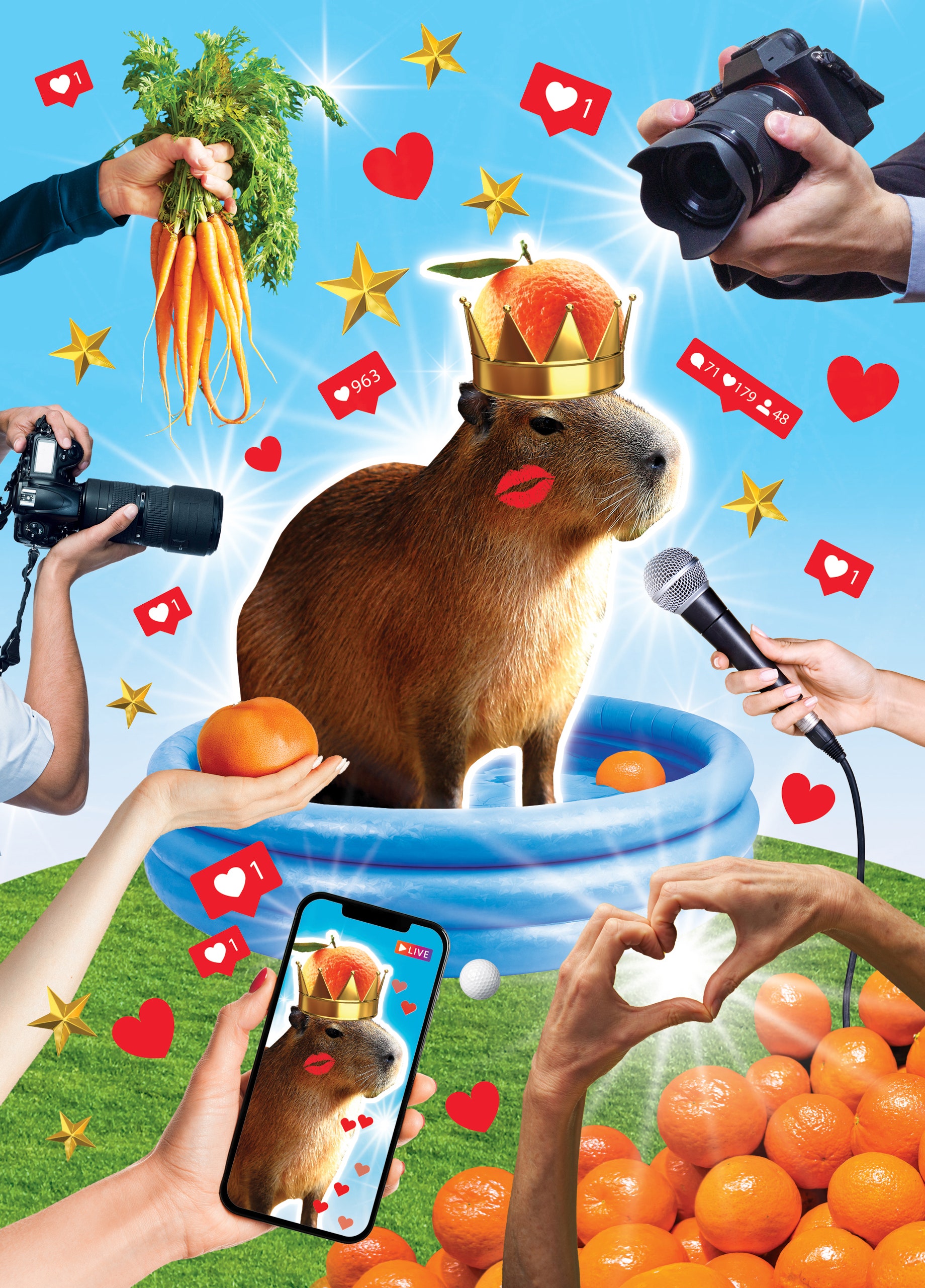 Capybara with crown on looking at phone with picture of itself