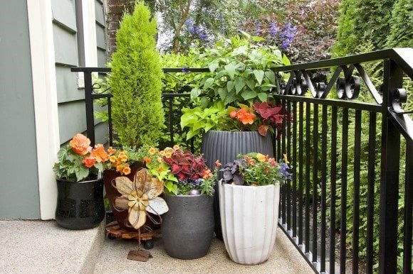 containerGardeningPicture
