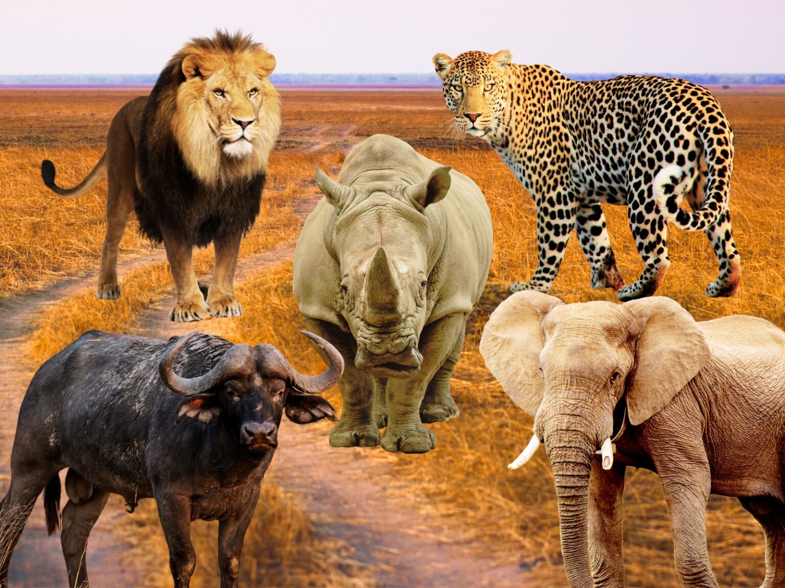 Big Five Animals