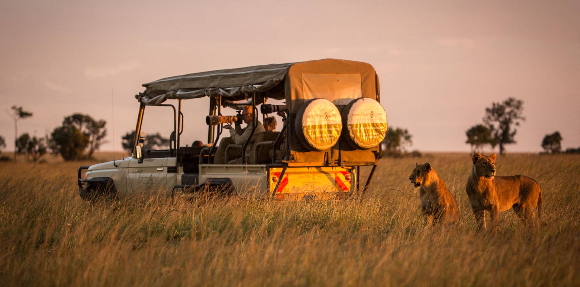 A tourist taking a photo of Wildlife