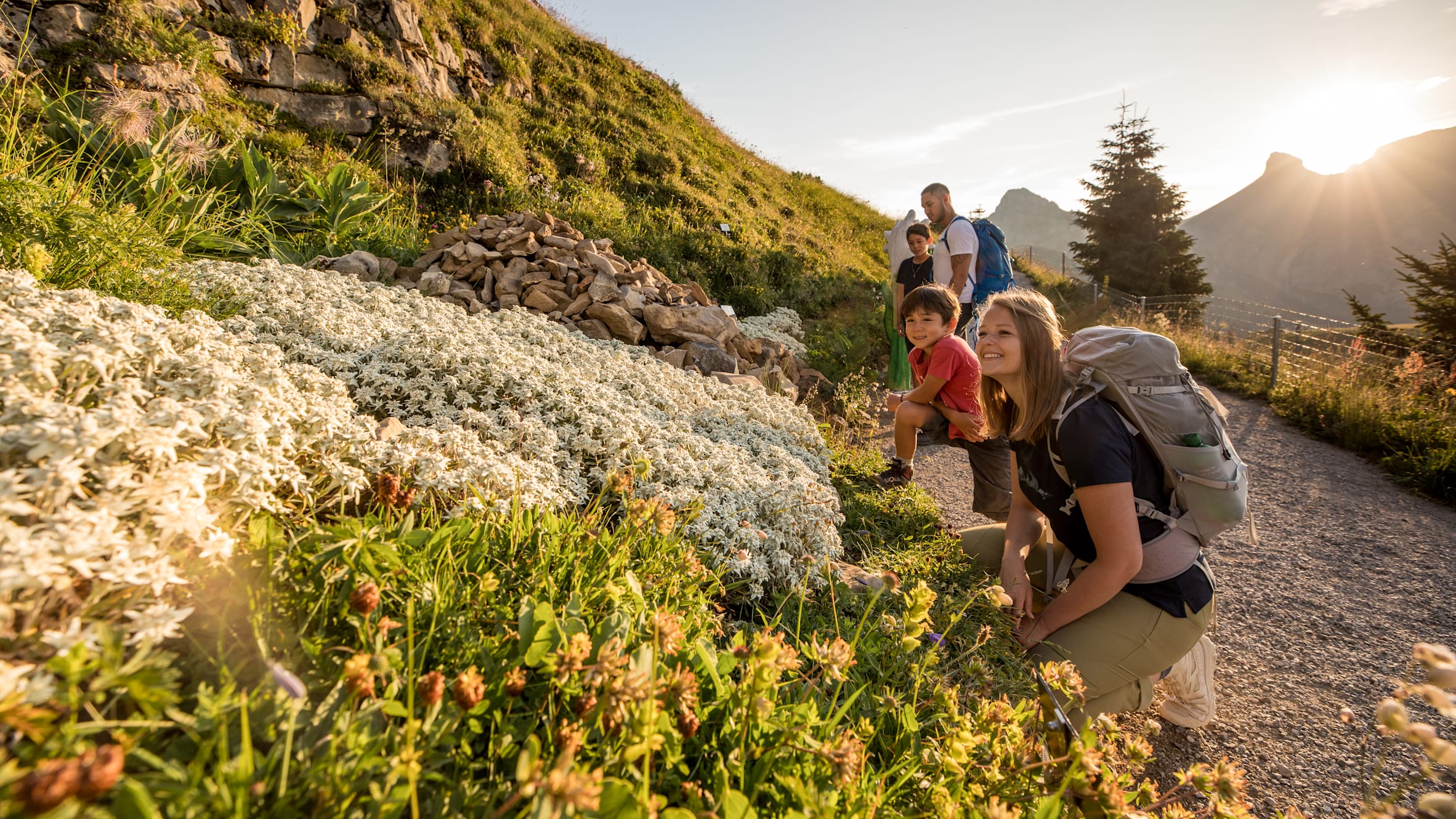 Hiking in Switzerland