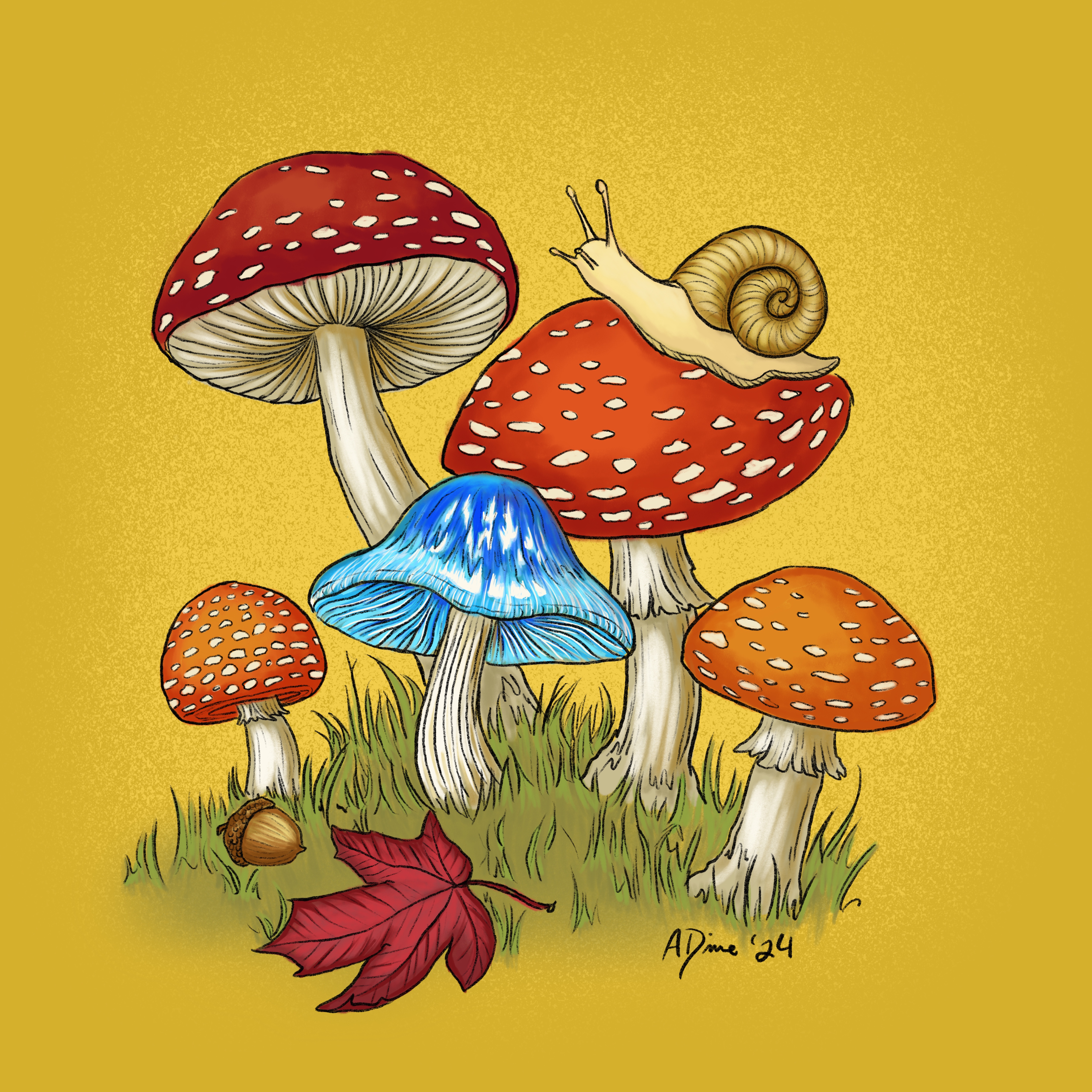 Mushrooms and snails