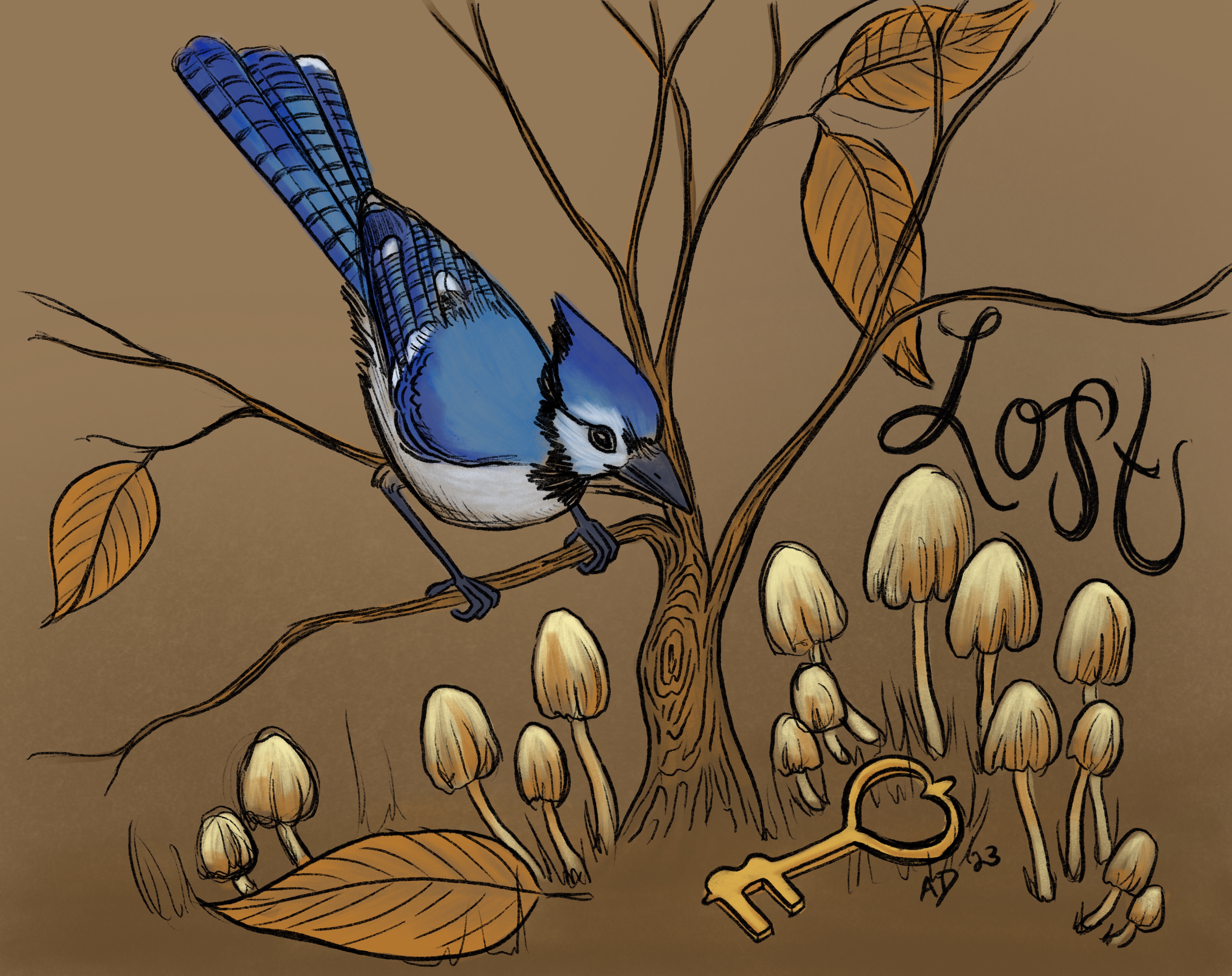 Blue jay and lost key