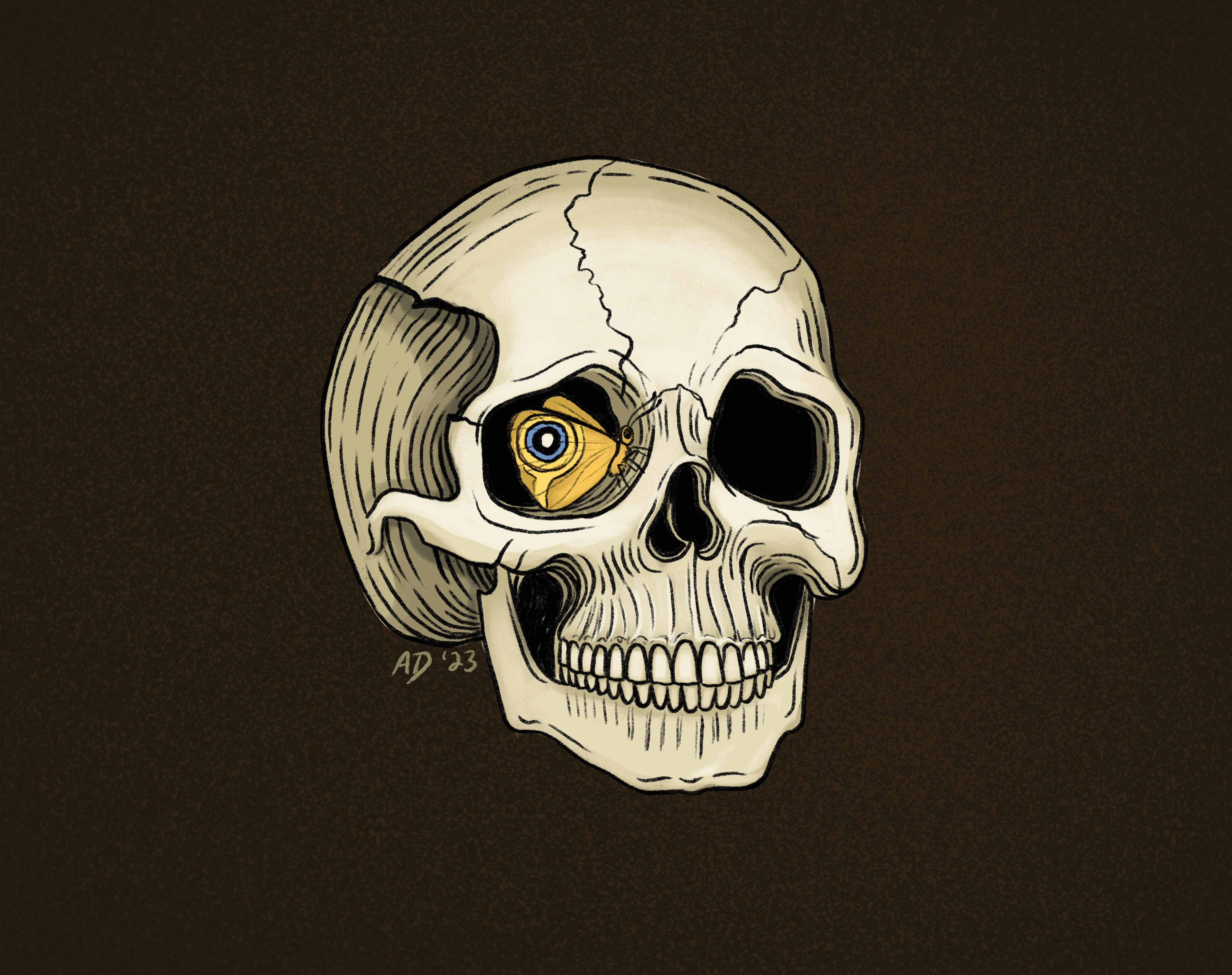 Momento mori still life