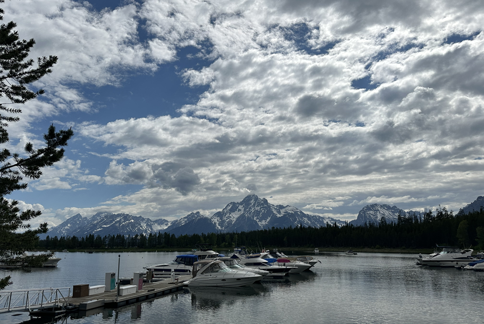 boats in a marina in water