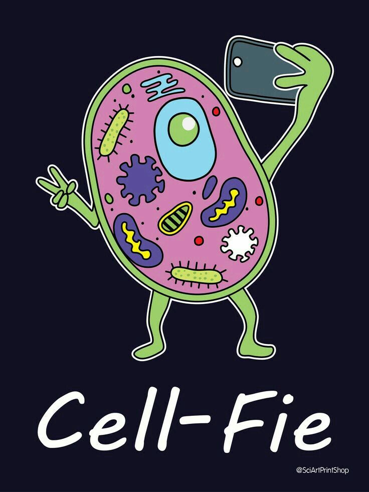 cell-fie