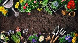 healthy soil