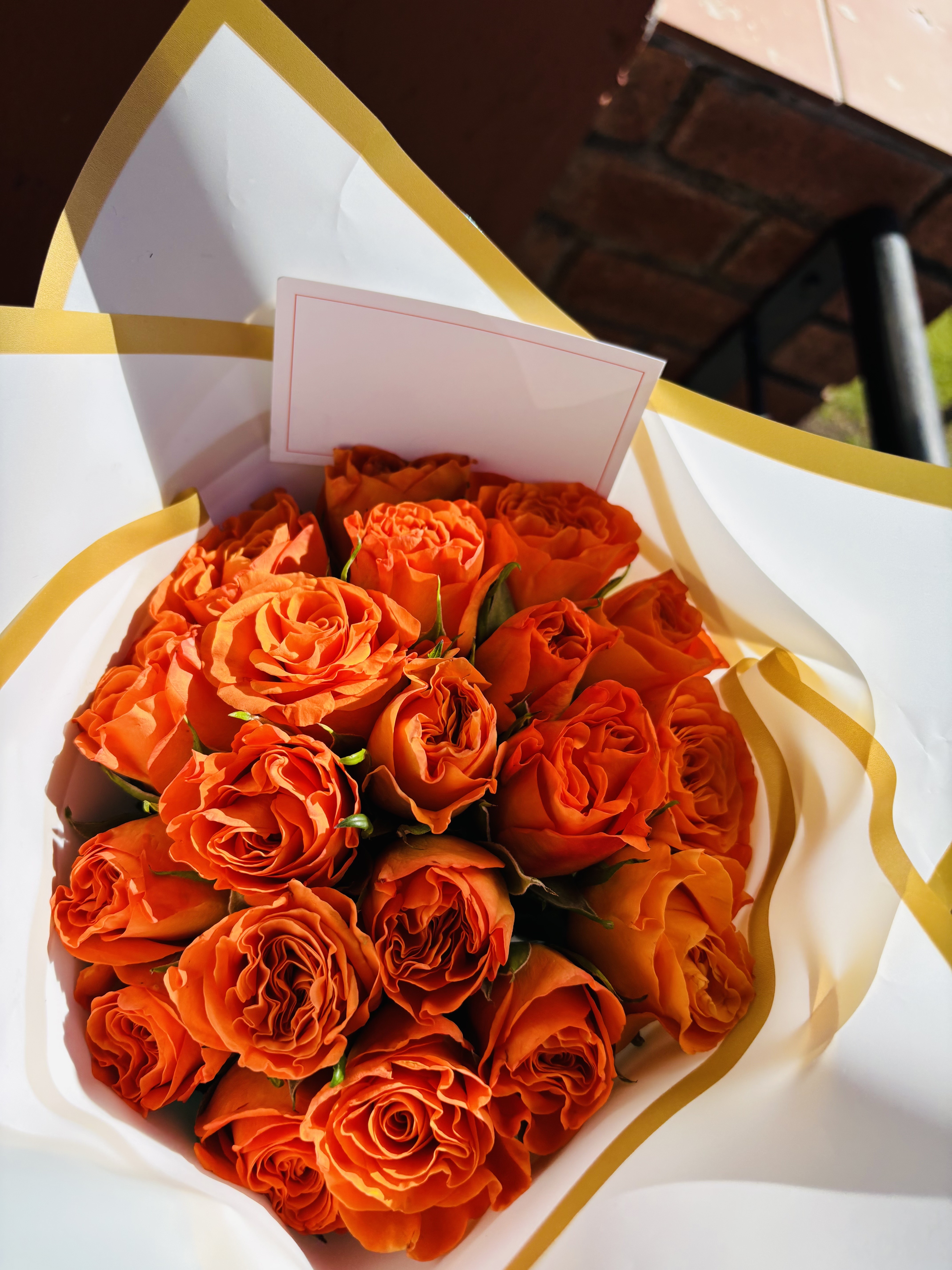 Orange Roses