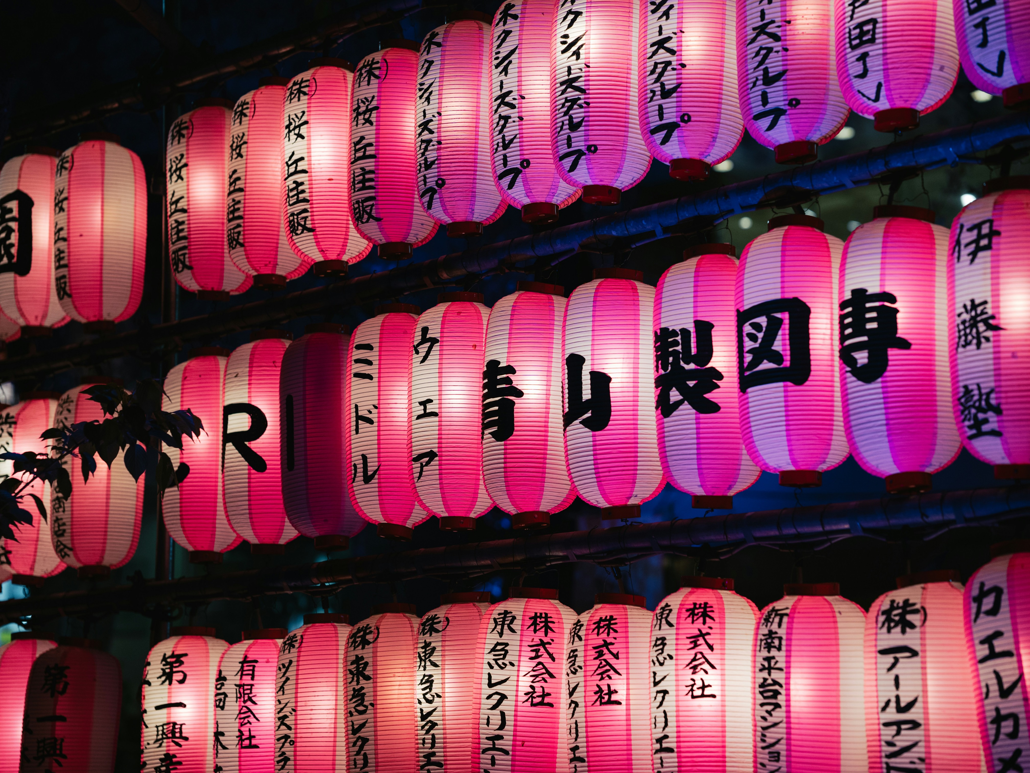 Japanese Calligraphy on traditional lanterns.