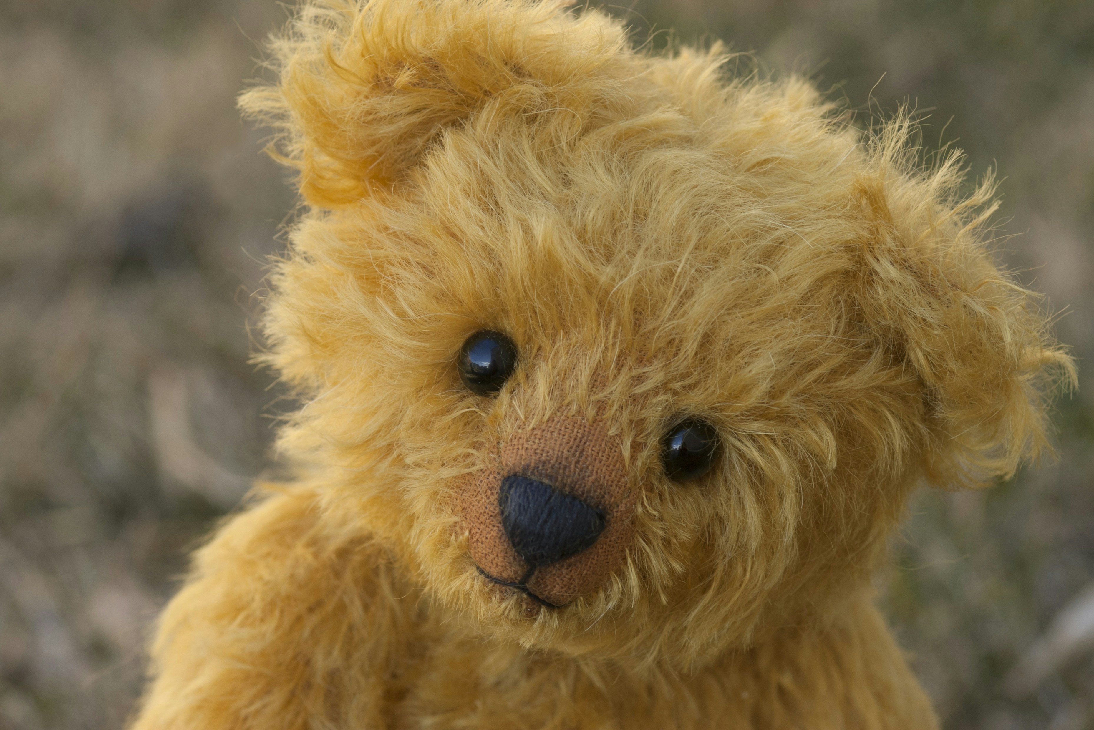 Vintage teddy bear