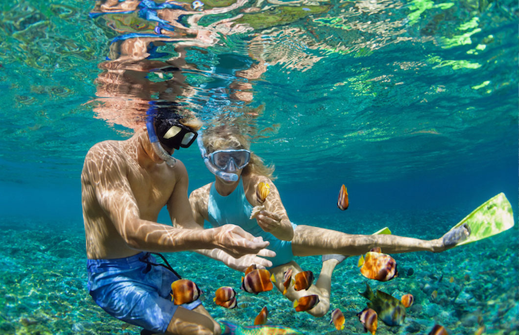 Snorkelers