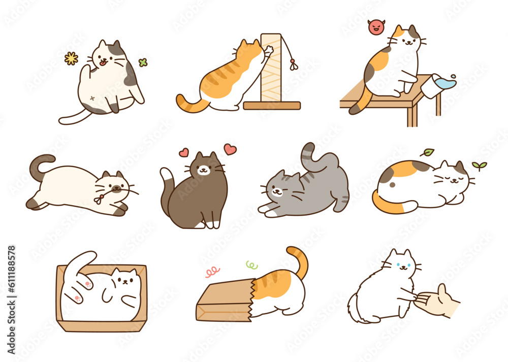 Lots of cats