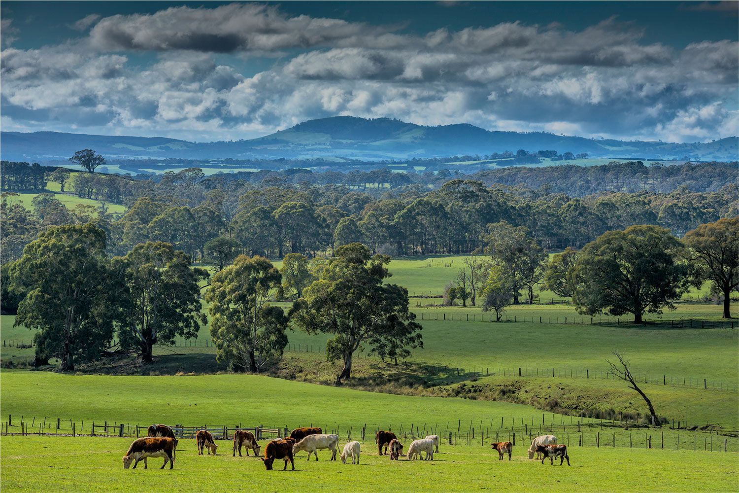 Macendon Ranges