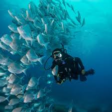 Ä man swimming with fish