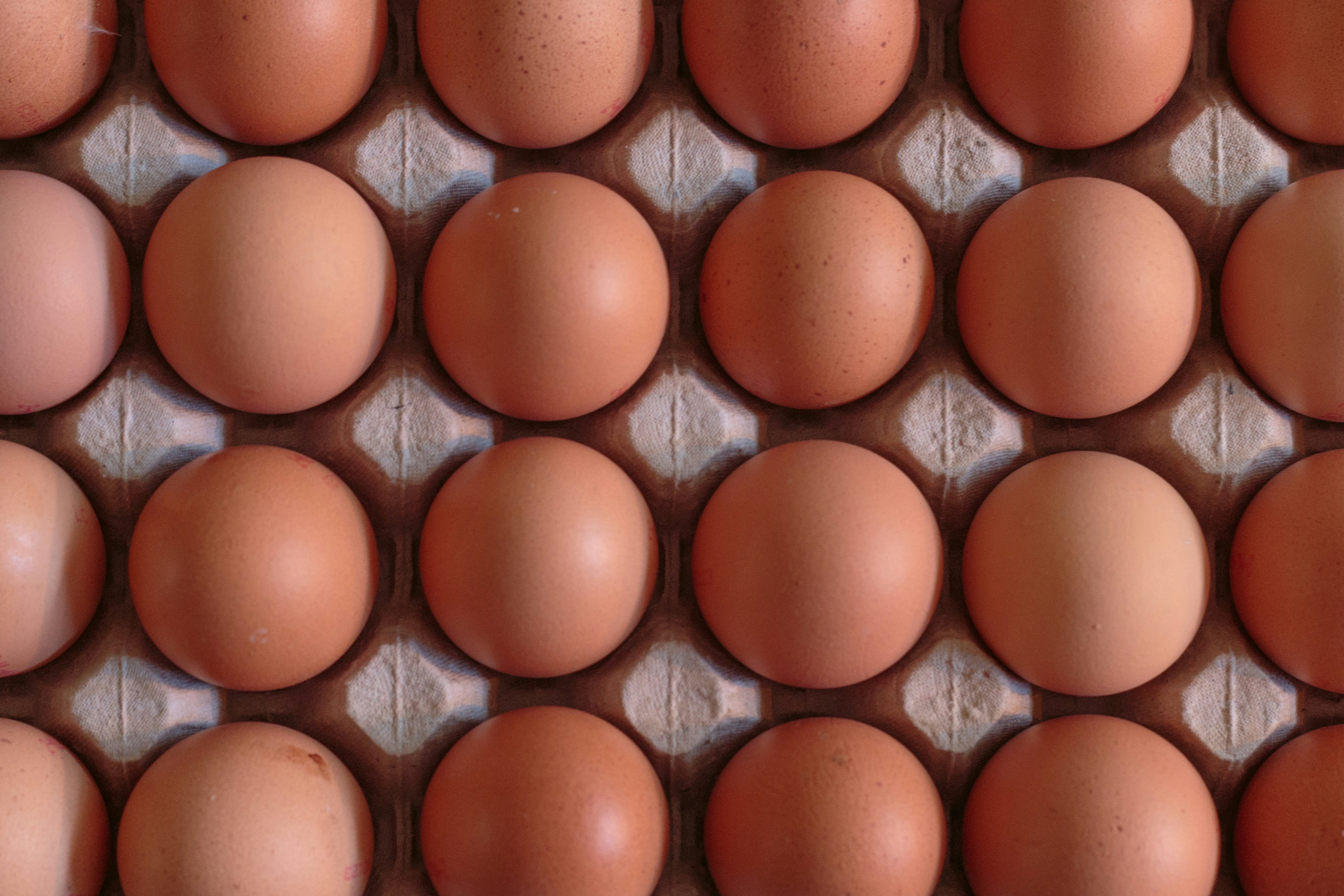 Top down view of 24 eggs in a open carton
