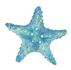 Starfish