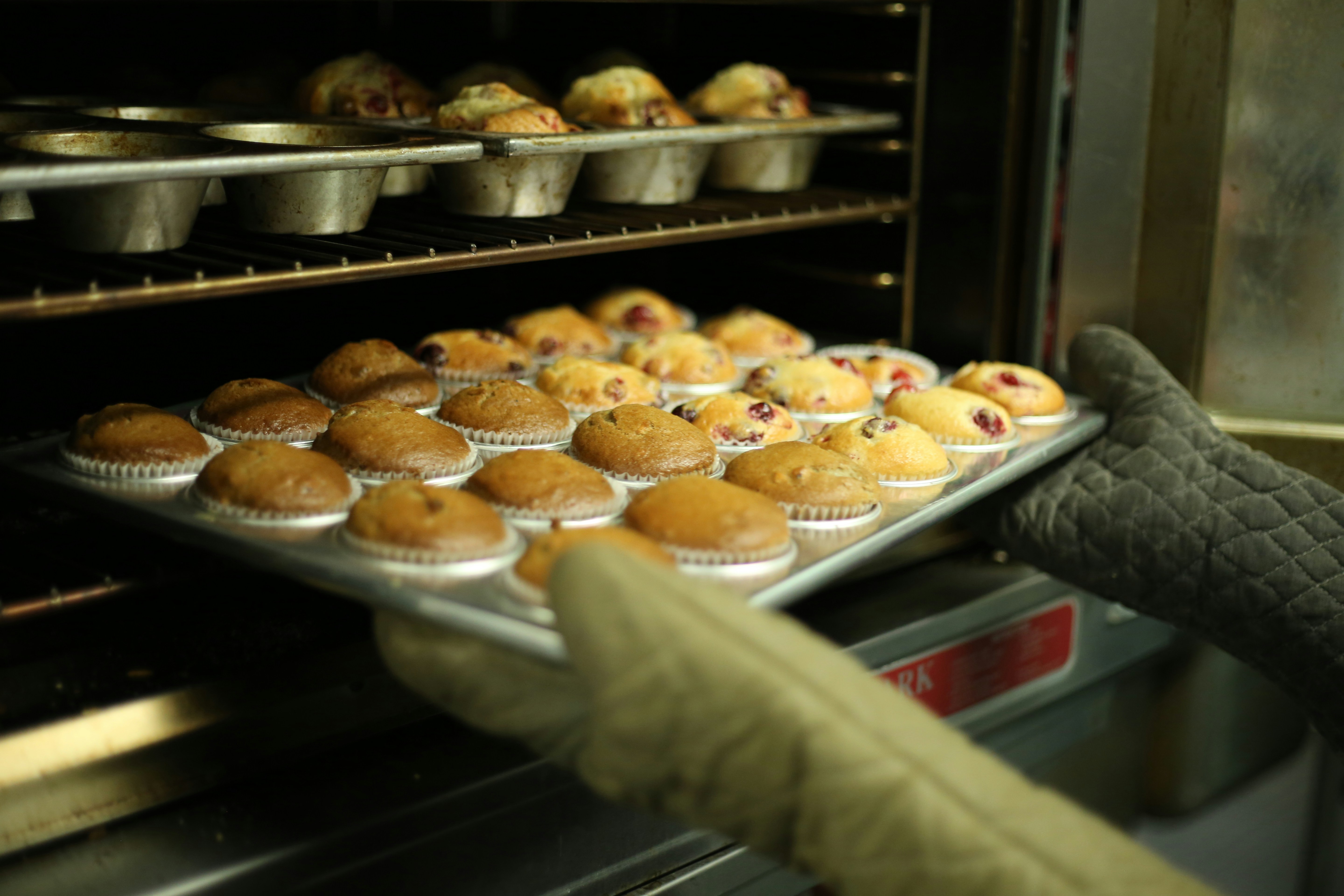 Cupcakes being put into an oven