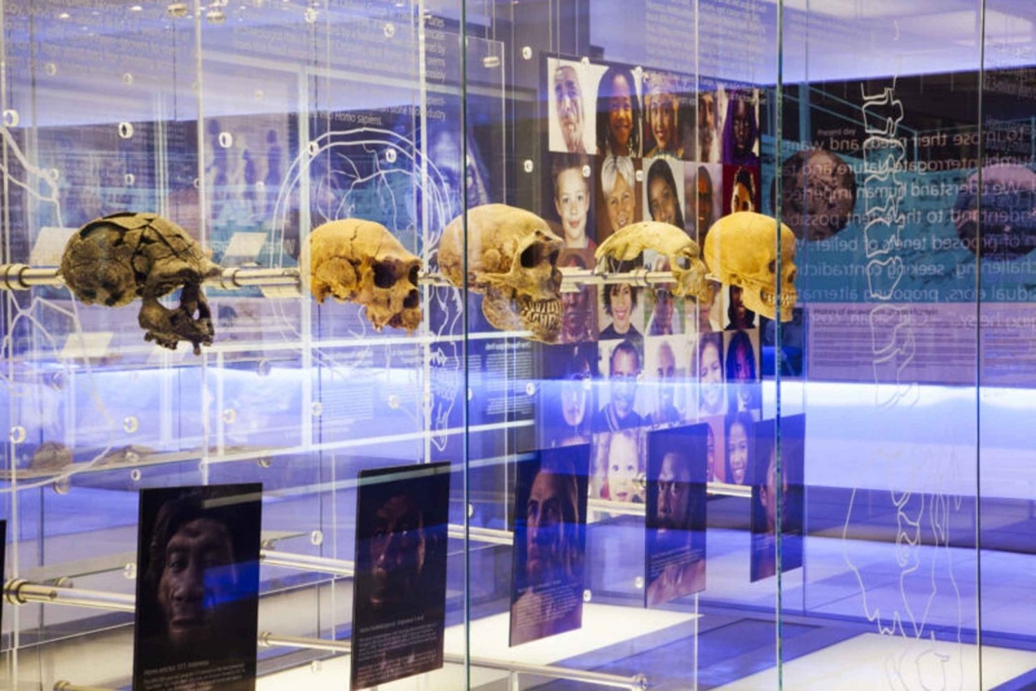 Cradle of Humankind
