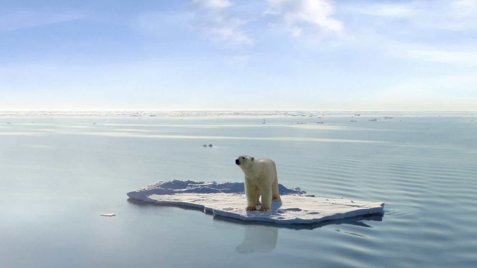 Arctic Ice Melting